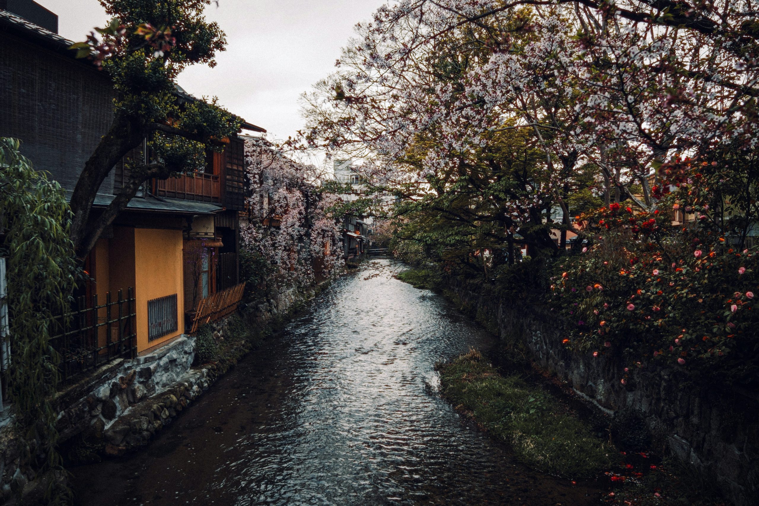 Route Japon
