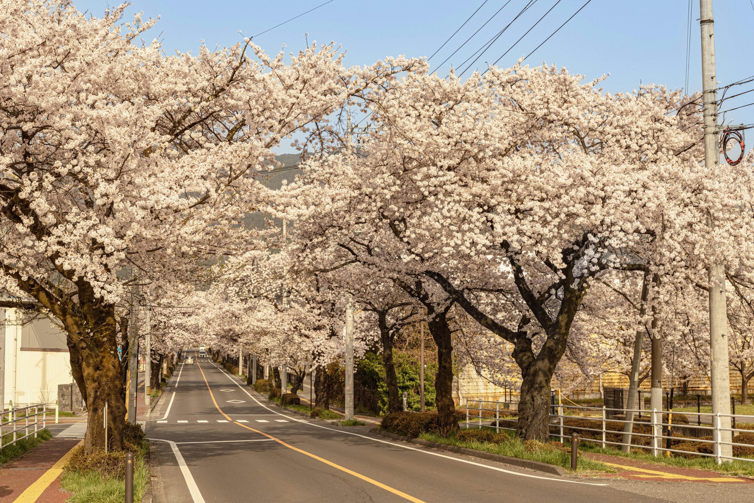 Route Japon