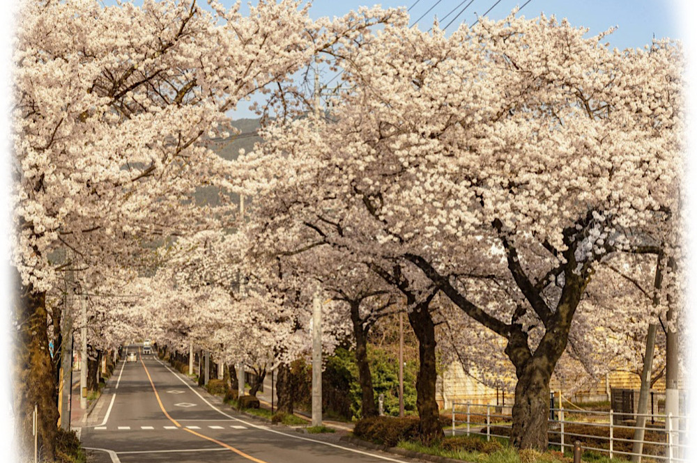 Route Japon
